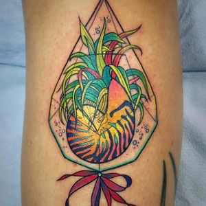 Flash da KShocs #KatieShocrylas #kshocs #tatuagemcolorida #colorfultattoo #gringa #shell #concha #caracol #snail #planta #plant #laçodefita #ribbon