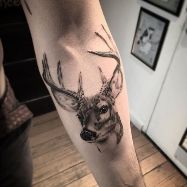 Tattoo uploaded by Stacie Mayer • Deer head tattoo by Jonas Bødker.  #blackandgrey #realism #JonasBødker #deer #deerhead • Tattoodo