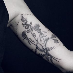 Botanical tattoo by Kalawa #Kalawa #dotwork #blackwork #botanical