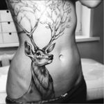 Stag tattoo. Artist unknown #stag #deer #antlers #stomach #stomachtattoo #blackwork