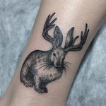 Jackalope tattoo by Sasha Matius. #jackalope #fable #imaginary #animal #antler #rabbit #blackandgrey #SashaMatius