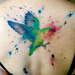 Watercolor abstract bird tattoo by Emrah de Lausbub #watercolor #bird #abstract #shapes #EmrahdeLausbub