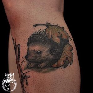 Hedgehog tattoo by Scott M. Harrison #ScottMHarrison #neotraditional #nature #hedgehog