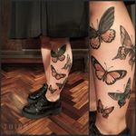 Butterfly tattoo by Santi Bord #SantiBord #neotraditional #butterfly #butterflies
