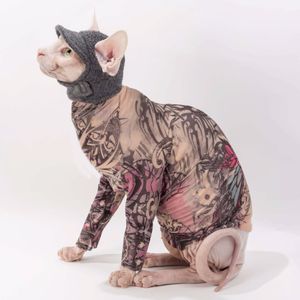 Gato Sphynx com roupinha de tattoo. MUITO MELHOR!! #Sphynx #Sphynxcat #saynotoanimaltattoos