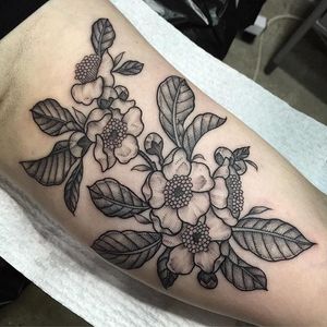 Camellia Sinensis tattoo by Eddy Lou. #neotraditional #EddyLou #blackwork #floral #camellia #camelliasinensis