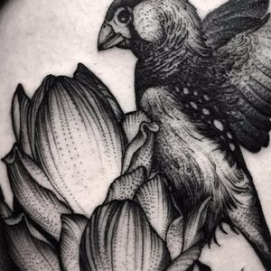 All in the details by Kelly Violence #KellyViolence #blackwork #linework #bird #flower #feathers #wings #floral #nature #tattoooftheday