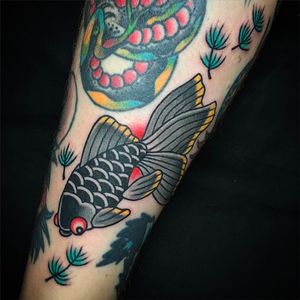Little solid fish tattoo by Andrew Mcleod!  #AndrewMcleod #traditionaltattoo #fish #traditional