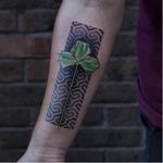 Geometric abstract clover by Wagner Basei, photo from Instagram. #clovertattoo #geometric #abstract