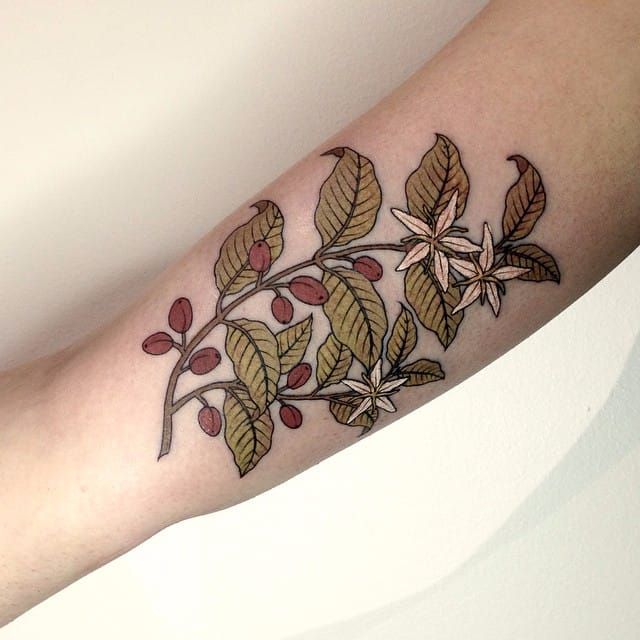Coffee Plant Tattoo for all Coffeelovers  Plant tattoo Tea leaves tattoo Coffee  tattoos