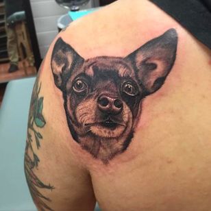 Fantástico tatuaje de retrato de perro de Nate Graves.  #NateGraves #Sagrado # retrato de perro # retrato #michigan # gris negro #realista # perro # retrato de mascota # retrato de animal