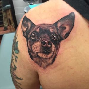 Awesome dog portrait tattoo by Nate Graves. #NateGraves #Sacred #dogportrait #portrait #michigan #blackandgrey #realistic #dog #petportrait #animalportrait
