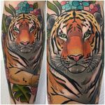 Tiger Tattoo by Ashley Luka #tiger #tigertattoo #neotraditional #neotraditionaltattoo #neotraditionaltattoos #colorfultattoos #brighttattoos #AshleyLuka
