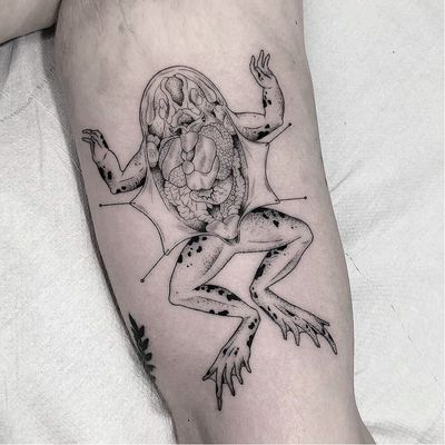 Frog dissection tattoo by Marla Moon #MarlaMoon #llustrativetattoos #illustrative #sketch #drawing #linework #fineline #dotwork #frog #dissection #nature #anatomy #guts #toad #animal #amphibian