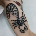 A black and grey scorpion tattoo with a spiderweb in its tail by Victor Rebel (IG—xvitorebelcox). #scorpion #traditional #VictorRebel