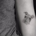 Dainty dog tattoo by Lindsay April #fineline #LindsayApril #blackandgrey #blackandgray #finelineblackandgrey #minimalistic #linework #small #dog