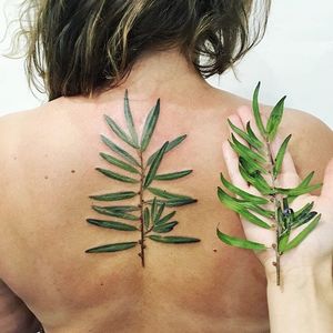 Gorgeous and perfect plantlife along the spine, pressed and tattooed, by Rita (via IG—rit.kit.tattoo) #Spine #Plant #Pressed