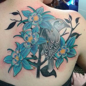 Mockingbird and columbine flower tattoo by Reeves Tattooer. #flower #floral #columbine #columbineflower #bird #mockinbird #ReevesTattooer