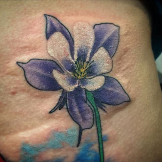 Colorado Columbine Flower Tattoo Ideas  Tattoo Glee