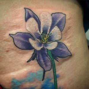 Simple columbine flower tattoo by Nate Espinoza. #flower #floral #columbine #columbineflower #NateEspinoza