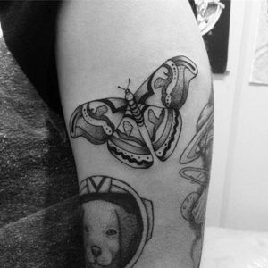 Borboleta por Diogo Cogebriz! #DiogoCogebriz #tatuadoresbrasileiros #tatuadoresdobrasil #tattooBr #TattoodoBr #blackwork #blackworkers #dotwork #pontilhismo #butterfly #borboleta