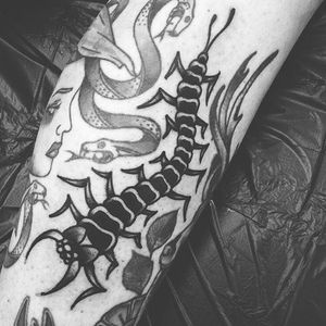 Blackwork Centipede Tattoo by James Ghrey #centipede #blackworkcentipede #insect #bug #blackworkinsect #blackworkarist #JamesGhrey