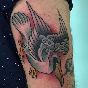 Pelican tattoo by Ben Haynes #Pelican #bird #traditional #BenHaynes