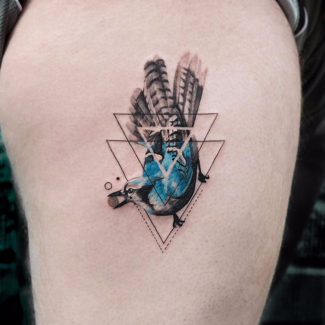 Blue jay tattoo  Bird tattoos for women, Blue jay tattoo, Small tattoos