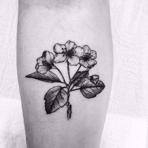 Todo o amor por tatuagens botânicas #TiagoOliveira #blackwork #dotwork #pontilhismo #tatuadoresdobrasil #tatuadoresbrasileiros #tatuadoresbr #flower #flor