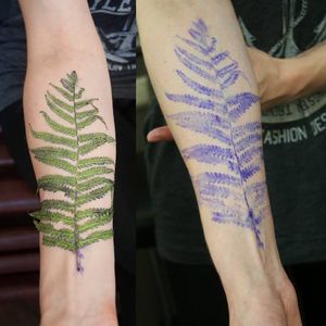 Plan tattoo stencil #ritkit #plants #tattoostencil