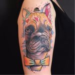 #Schwein #tatuadorgringo #coloridas #colorful #sketch #abstrata #abstract #cachorro #dog #bulldogfrances #frenchbulldog #gravata #tie