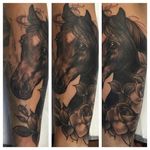 Black and grey neo traditional horse by Kaitlin Greenwood. #neotraditional #KaitlinGreenwood #horse #blackandgrey