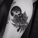 Bird tattoo by Matt Pettis #MattPettis #blackwork #blckwrk #btattooing #bird