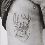 Dissecting a deer's antlers. Tattoo by Jasper Andres. #JasperAndres #geometry #nature #deer