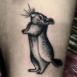Chinchilla Tattoo by Mike Adams #chinchilla #animal #cutetattoos #MikeAdams