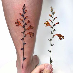Favorite flowers by Rita aka Rit Kit tattoos #Rita #ritkit #realism #realistic #hyperrealism #color #flower #snapdragon #floral #nature #cutetattoo #cute #tattoooftheday