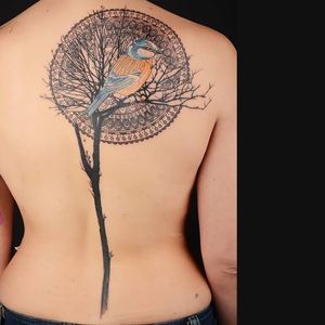 Tattoo by Xoil  #bird #tree #graphic #mandala #Xoiltattoos
