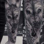 Wolf tattoo by Robert A. Borbas #RobertABorbas #blackwork #blckwrk #macabre #wolf #skull #animalskull