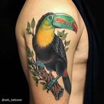 Neo traditional toucan tattoo by Seb Tattooer. #neotraditional #bird #toucan #SebTattooer