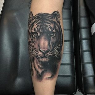 Tigre negro y gris de Jonas Bødker.  #negro gris #realismo # JonasBødker #tigre #bigcat
