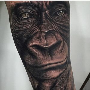 Gorilla Tattoo by Samuel Rico #gorilla #gorilltattoo #blackandgrey #blackandgreyrealism #realism #animaltattoo #realisticanimal #realismanimaltattoo #blackandgreyanimal #SamuelRico