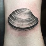 Clam tattoo by Maggie Cho Brophy. #blackwork #linework #MaggieChoBrophy #clam #seafood