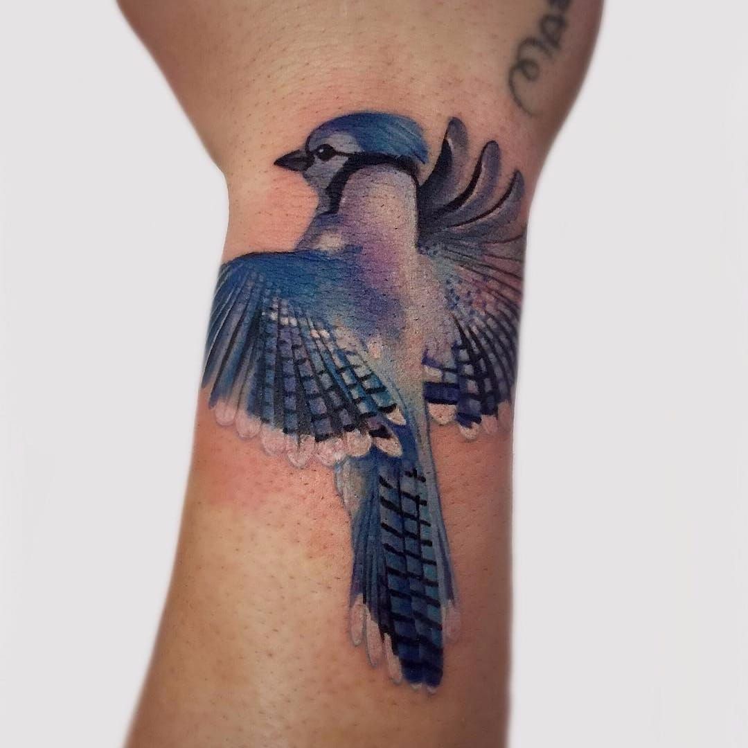 Tattoo uploaded by Tattoodo  Blue bird by Soso Ink Sosoink color  realistic realism watercolor painting bird feathers wings bluejay  nature tattoooftheday  Tattoodo