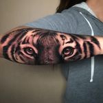 Tiger tattoo by Saul Mora #SaulMora #cooltattoos #blackandgrey #realism #realistic #hyperrealism #tiger #cat #junglecat #eyes #stripes #fur #photorealism #animal #nature #tattoooftheday