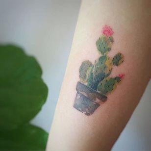 Cactus tattoo by Tattooist G. NO. #TattooistGNO #GNO #GNOtattoo #fineline #pastel #watercolor #cactus