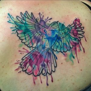Beautiful fantail bird by Megan Massacre, bit of a different style than usual! #fantail #bird #watercolor #graphic #watercolorbird