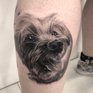 Cãozinho por Bonny Pamella! #tatuadorasbrasileiras #tatuadorasdobrasil #tattoobr #tattoodobr #SãoPaulo #realismo #realism #realista #realistic #dog #cachorro #cão #blackandgrey #pretoecinza