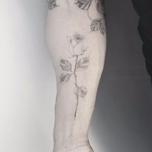 Linework rose tattoo by Kane Navasard #KaneNavasard #blackandgrey #linework #fineline #rose #minimalistic