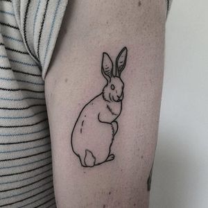 Handpoked tattoo by Cate Webb. #CateWebb #linework #handpoke #sticknpoke #handpoketattooartist #rabbit