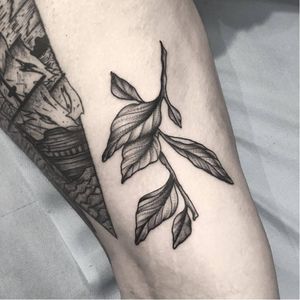 Botanical tattoo by Clarisse Amour #ClarisseAmour #blackwork #botanical #flower #btattooing #blckwrk